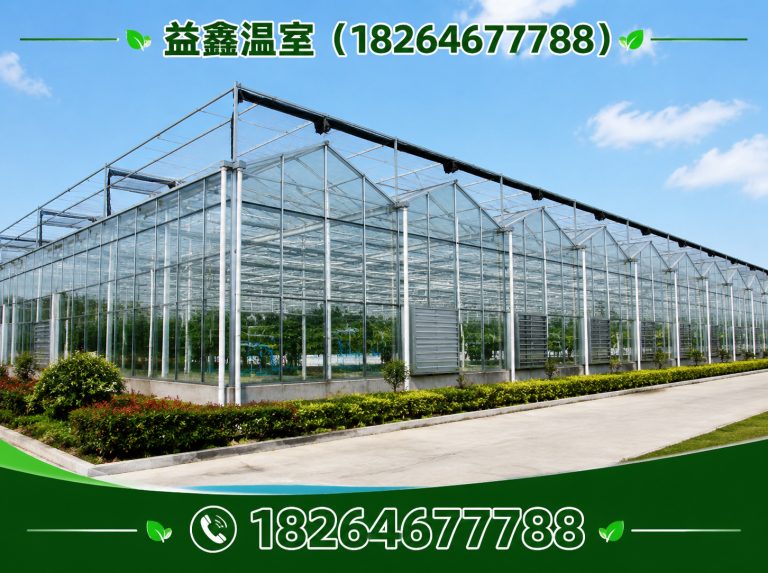 高密市益鑫温室展示图